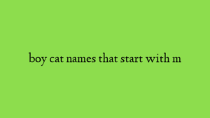 boy cat names that start with m