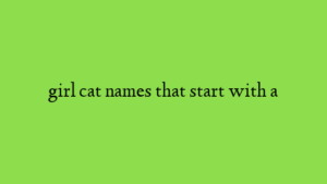 girl cat names that start with a